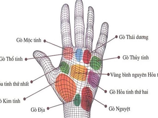 Gò bàn tay - vùng "bí mật" tiết lộ cá tính