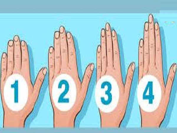 Xem tướng bàn tay dài hay ngắn nói lên điều gì?