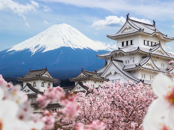 Hướng dẫn thủ tục xin visa đi Nhật Bản chi tiết nhất