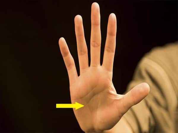 Tình duyên và hôn nhân