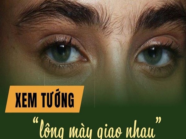 Đặc điểm nhận biết tướng lông mày giao nhau