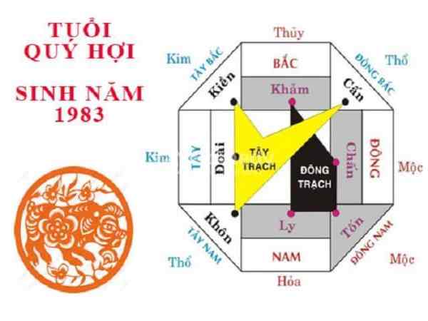 tuổi hợi 1983 hợp hướng nào