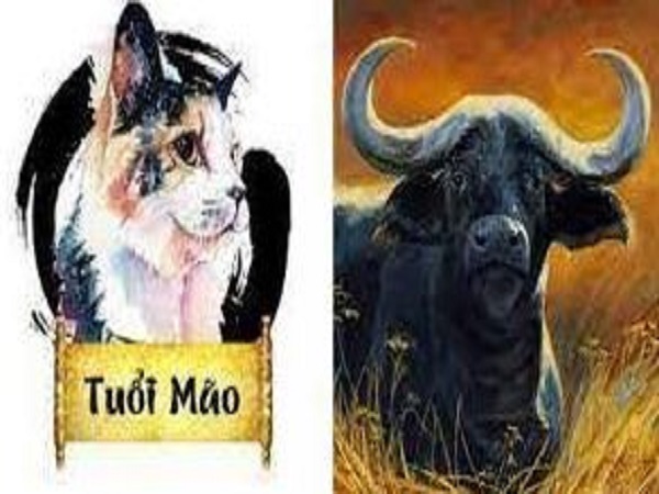 Đặc điểm tính cách tuổi Sửu và tuổi Mão
