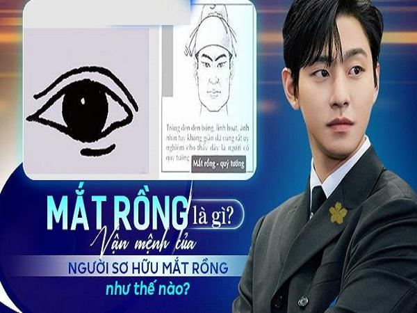 Tính cách vận mệnh người sở hữu tướng mắt rồng