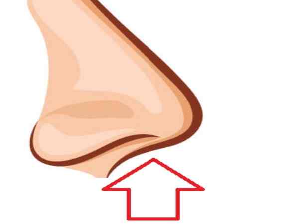 Nốt ruồi ở lỗ mũi có ý nghĩa gì theo nhân tướng học?