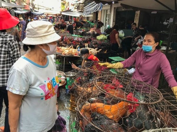 Giải mã chi tiết các giấc mơ thấy mua gà