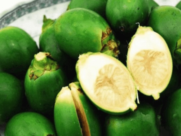 Mơ thấy quả cau là điềm gì? Mơ thấy quả cau là điềm gì?