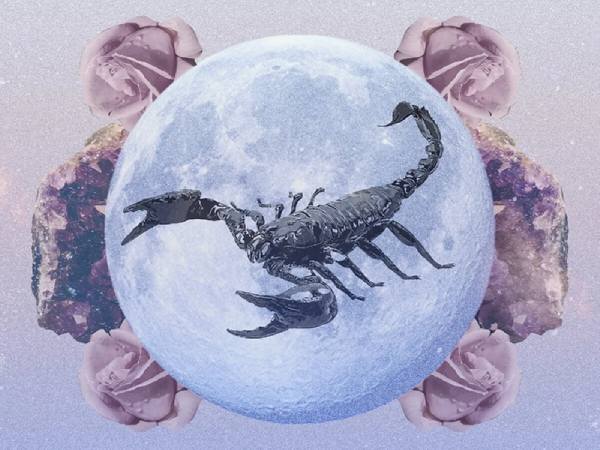 con số may mắn ngày 16/4/2026 cung Thần Nông